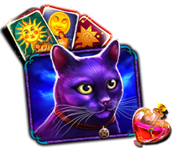 BizzoCasino Online gambling