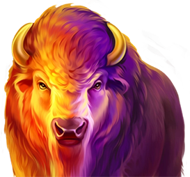 BIZZO Casino bonuses