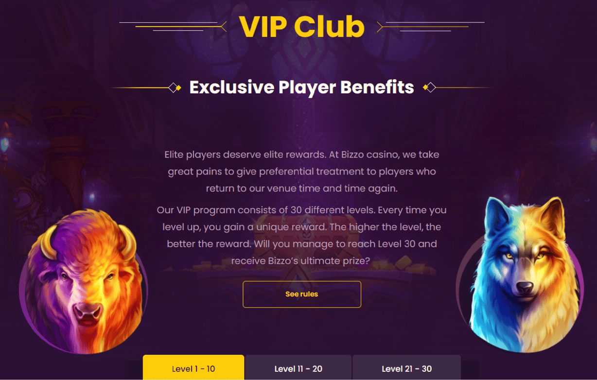 BIZZO Casino VIP Loyalty Program Bizzo Casino VIP